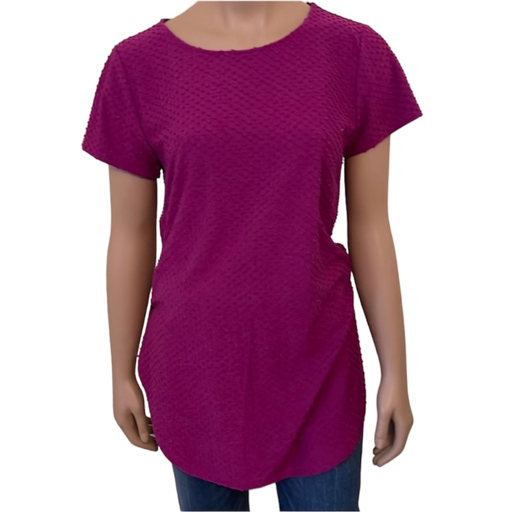 The Limited Eggplant Aubergine Short Sleeve Blouse Top Sz M
